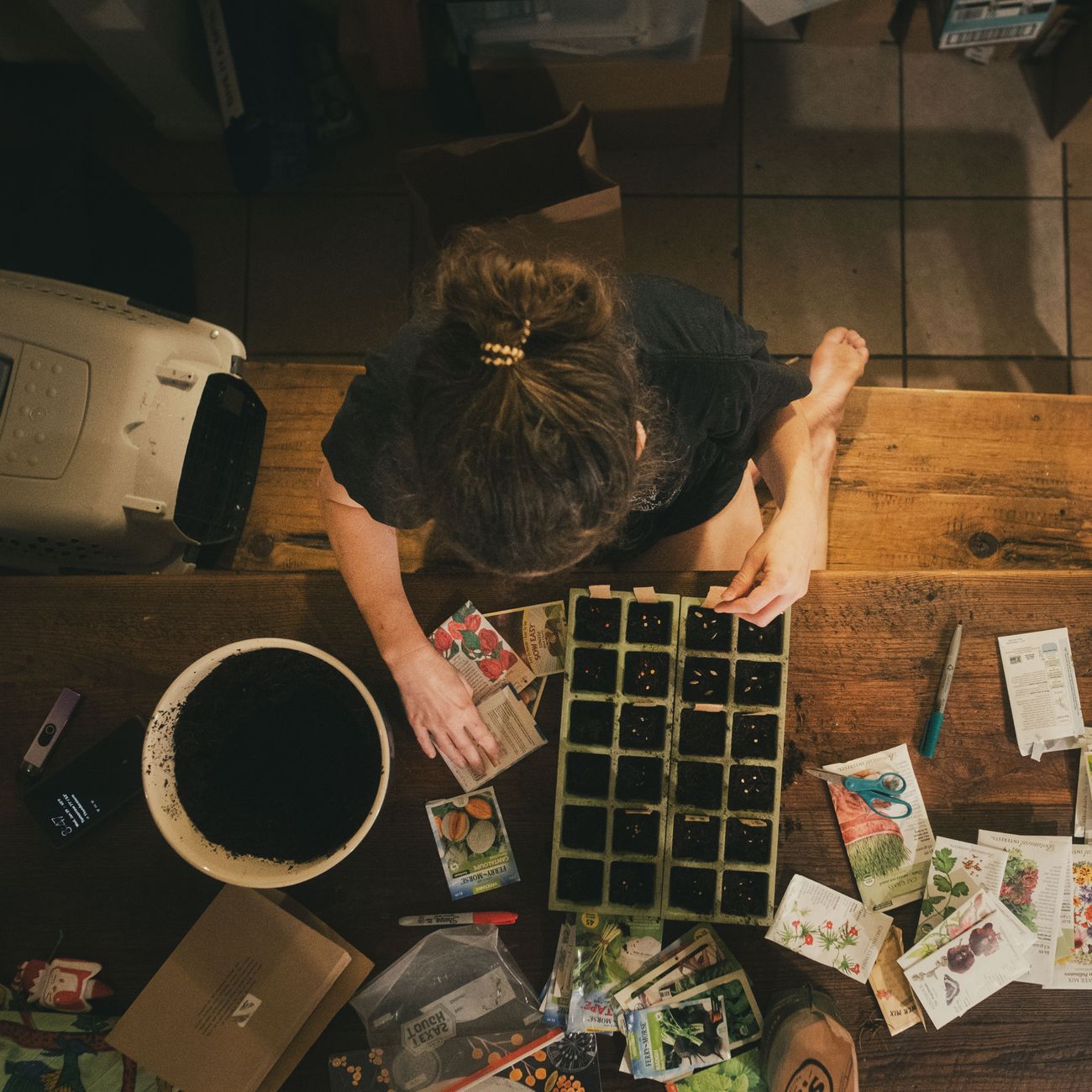Seedlings being planted in containers on a wooden table